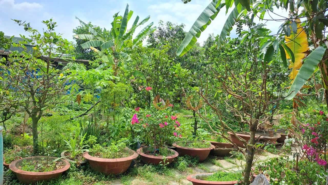 Cho thuê nhà mặt tiền Đường T11 Huyện Bình Chánh, TP.HCM – giá 8 triệu — Hình 3